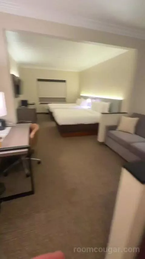 Junior Suite, 2 Queen Beds, Sofa Bed (#116) bed picture #2