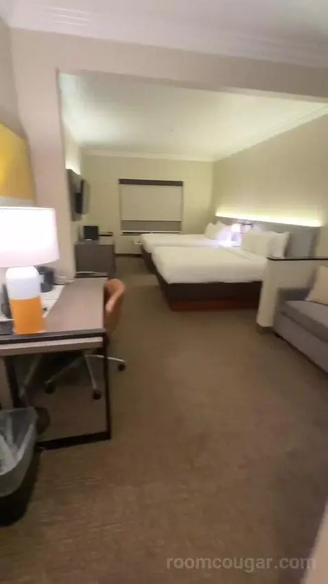 Junior Suite, 2 Queen Beds, Sofa Bed (#116) bed picture #3