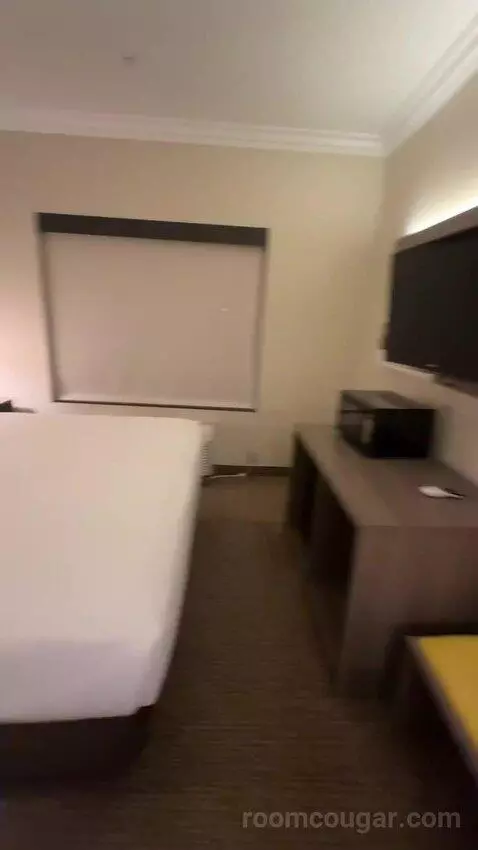 Junior Suite, 1 King Bed, Sofa Bed (#115) bed picture #4