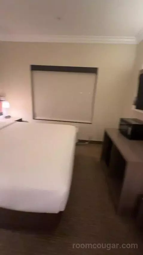 Junior Suite, 1 King Bed, Sofa Bed (#115) bed picture #5