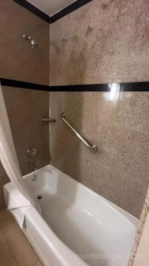 Junior Suite, 1 King Bed, Sofa Bed (#115) bathroom picture #3