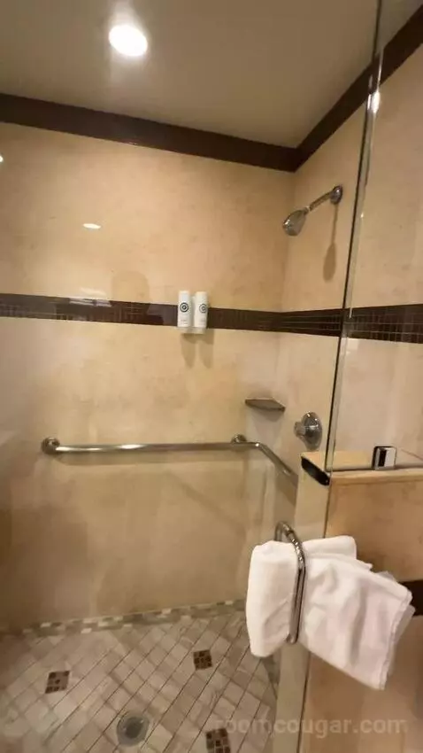 Hot Tub Suite, 1 King Bed, Sofa Bed (#318) bathroom picture #7