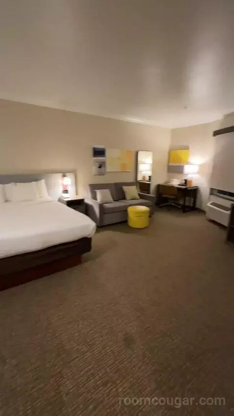 Hot Tub Suite, 1 King Bed, Sofa Bed (#318) bed picture #8