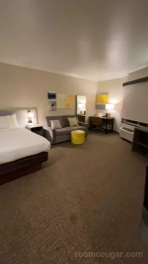 Hot Tub Suite, 1 King Bed, Sofa Bed (#318) bed picture #9