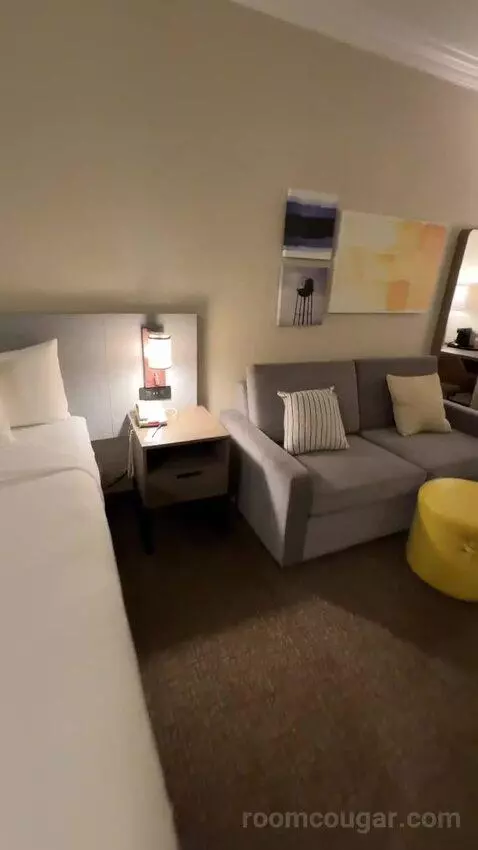Hot Tub Suite, 1 King Bed, Sofa Bed (#318) bed picture #4