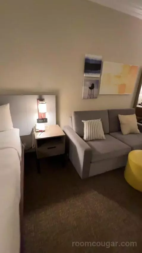 Hot Tub Suite, 1 King Bed, Sofa Bed (#318) bed picture #6