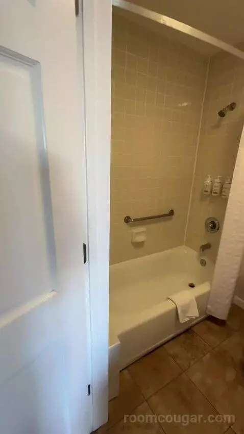 Queen Room with Two Queen Beds (#113) bathroom picture #4