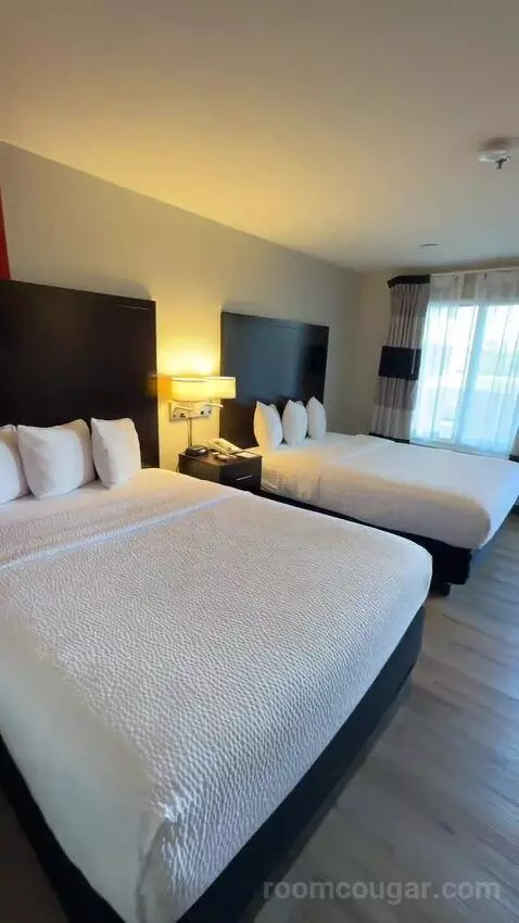 Queen Room with Two Queen Beds (#113) view picture #1