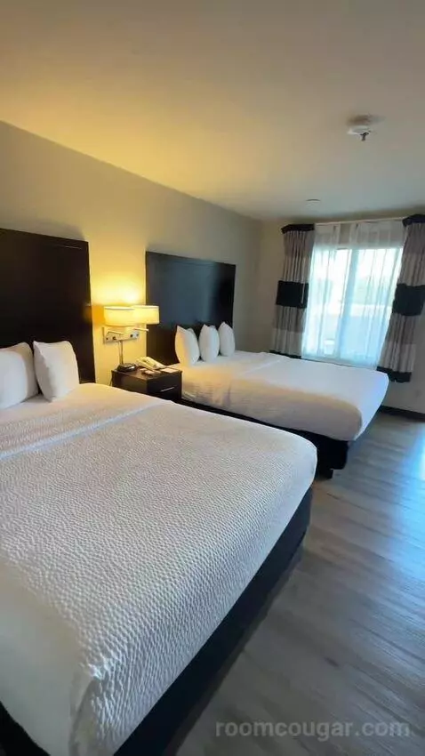 Queen Room with Two Queen Beds (#113) view picture #3
