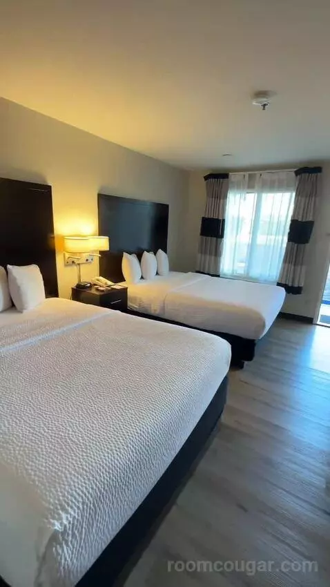 Queen Room with Two Queen Beds (#113) view picture #4