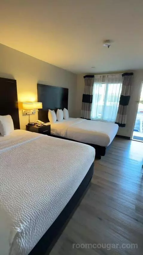 Queen Room with Two Queen Beds (#113) picture #22
