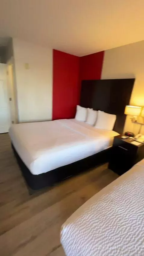 Queen Room with Two Queen Beds (#113) picture #6