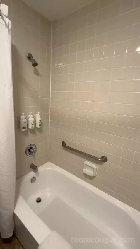 King Room (#114) bathroom picture #5