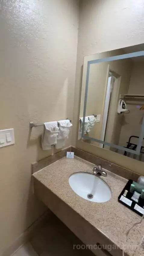 King Room (#108) bathroom picture #3