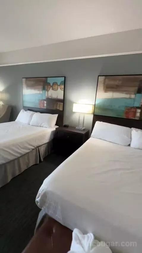 Queen Room with Ocean View (#104) bed picture #4