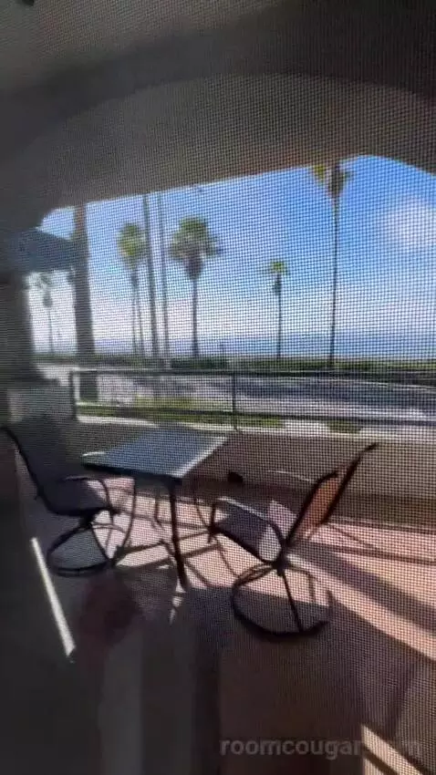 Queen Room with Ocean View (#104) view picture #1