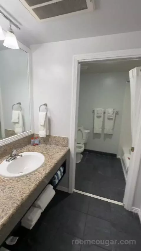 Queen Room with Ocean View (#104) bathroom picture #3