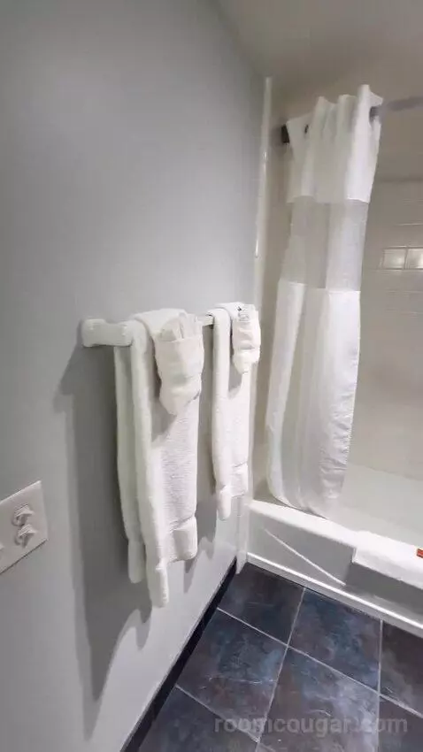 King Room with Partial Ocean View (#123) bathroom picture #7