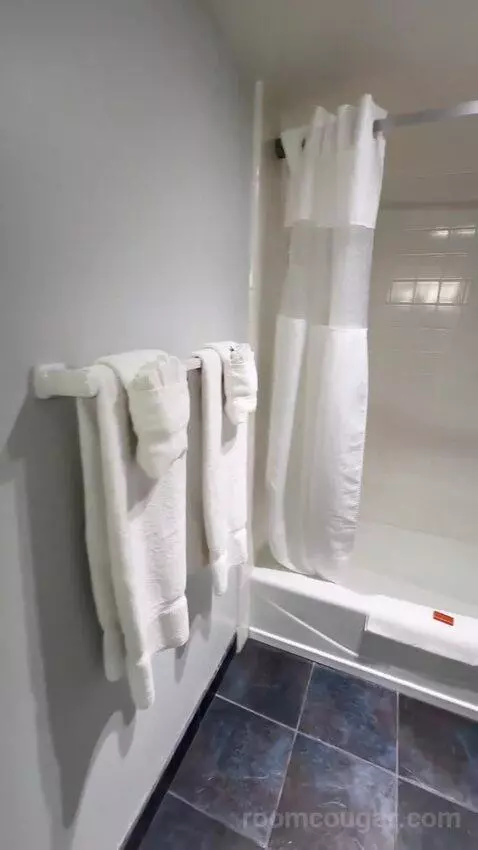 King Room with Partial Ocean View (#123) bathroom picture #8