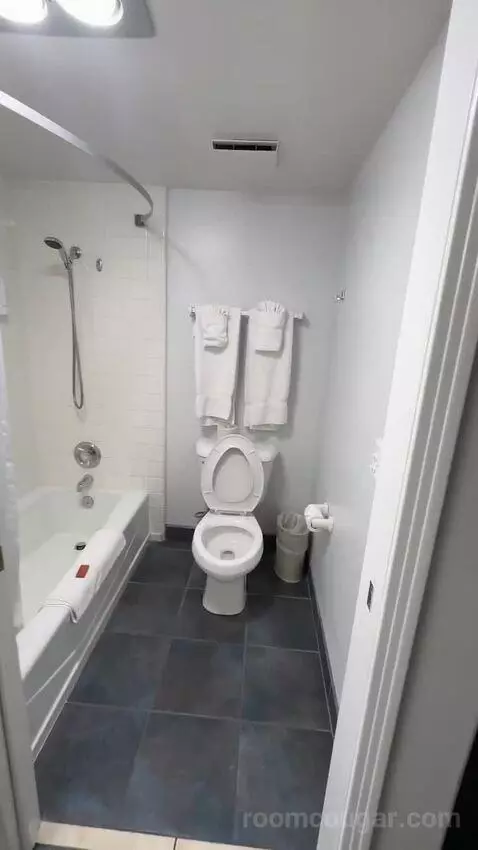 King Room (#121) bathroom picture #4