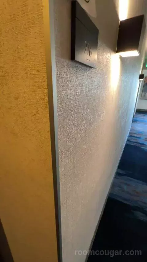 King Room (#916) picture #1