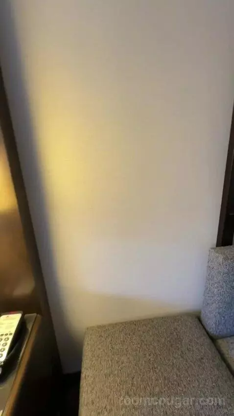 King Room (#916) picture #14