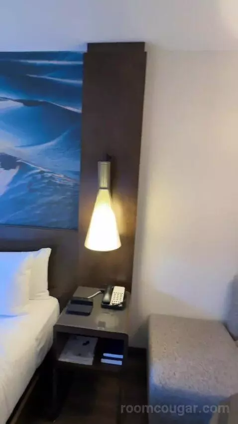 King Room (#916) bed picture #6