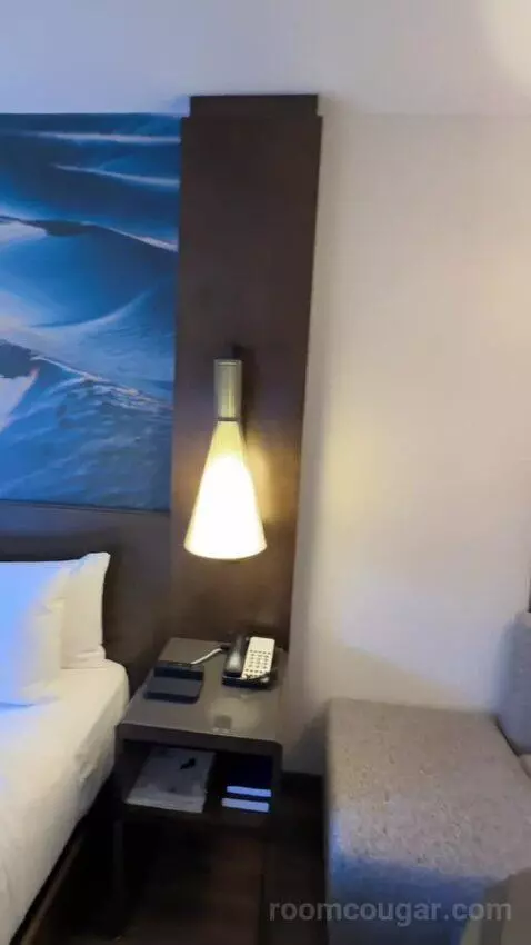 King Room (#916) picture #16