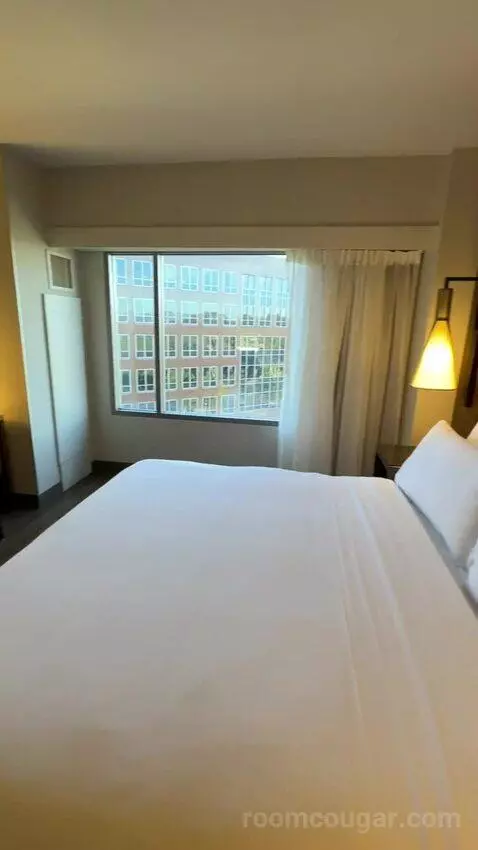 King Room (#916) picture #17