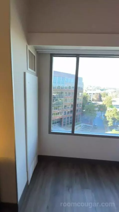 King Room (#916) picture #21