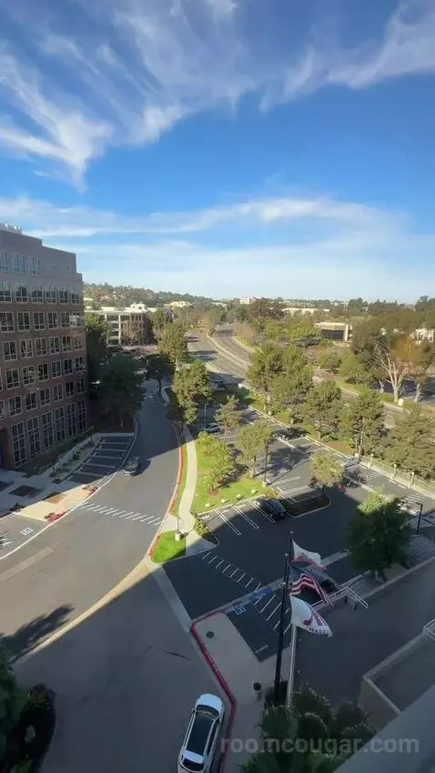 King Room (#916) view picture #1