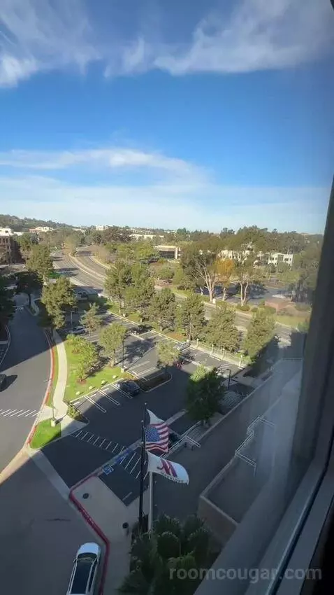 King Room (#916) view picture #6