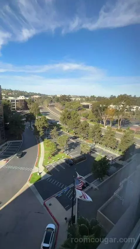 King Room (#916) picture #22