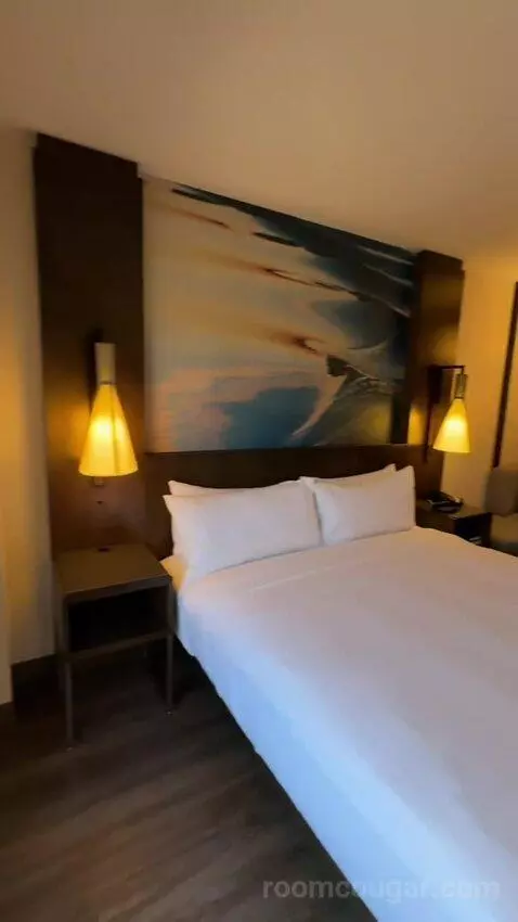 King Room (#916) picture #23