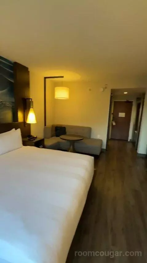 King Room (#916) view picture #7