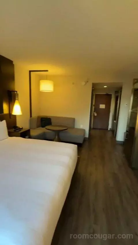 King Room (#916) view picture #8