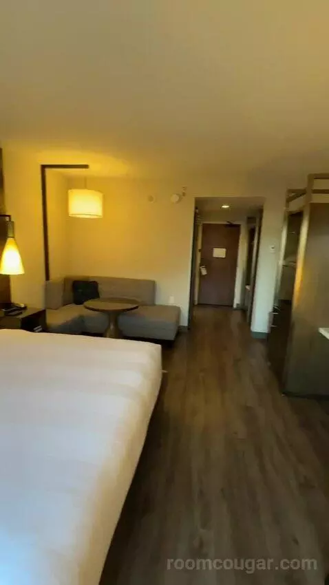 King Room (#916) view picture #9