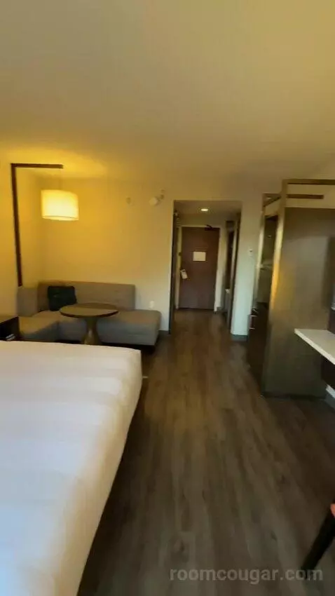 King Room (#916) view picture #10