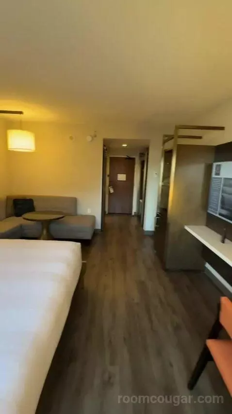 King Room (#916) view picture #11