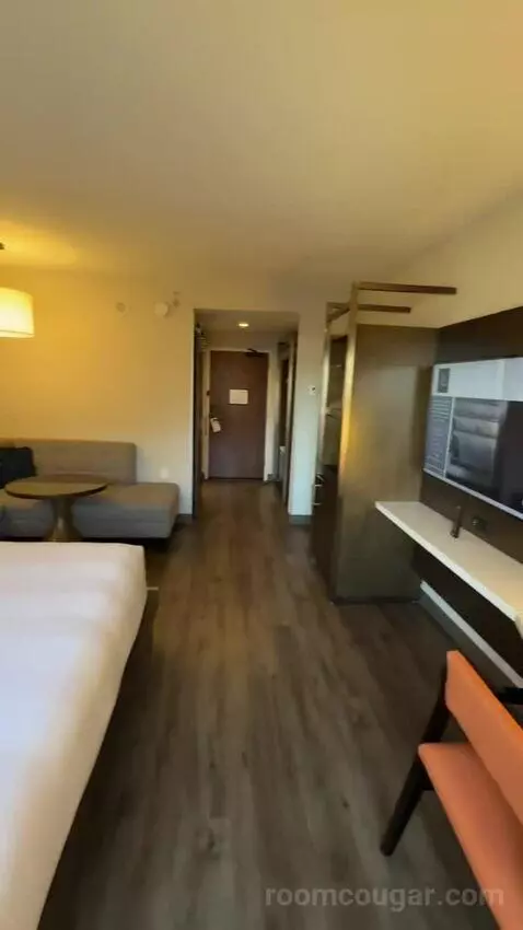 King Room (#916) view picture #12