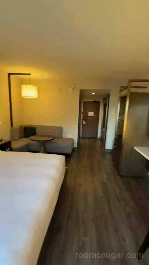 King Room (#916) picture #24