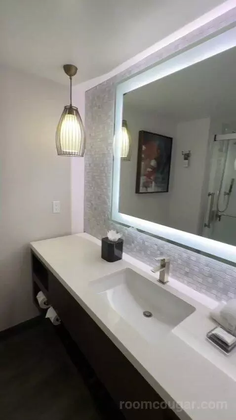 King Room (#916) bathroom picture #5