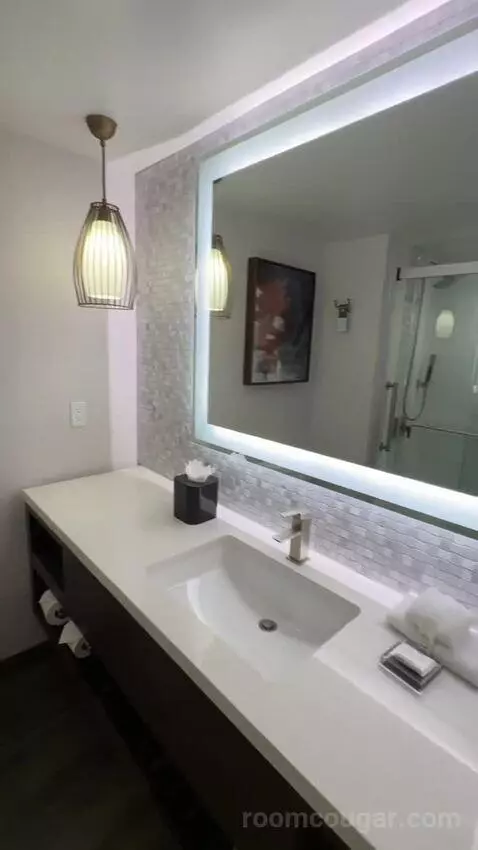 King Room (#916) bathroom picture #6