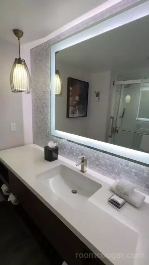 King Room (#916) bathroom picture #7