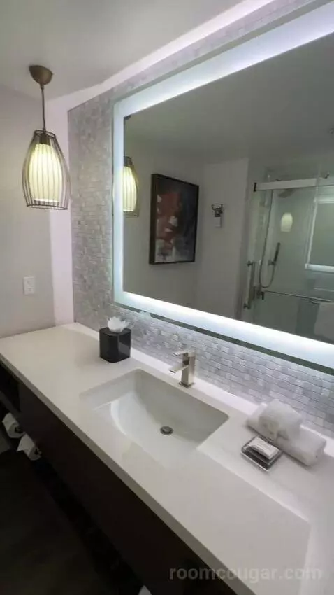 King Room (#916) picture #5