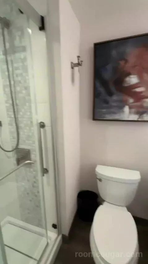 King Room (#916) bathroom picture #10