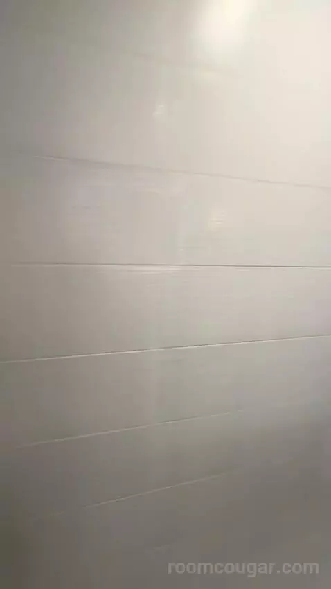 King Room (#916) picture #7