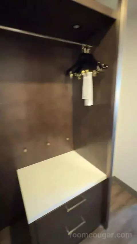 King Room (#916) picture #10