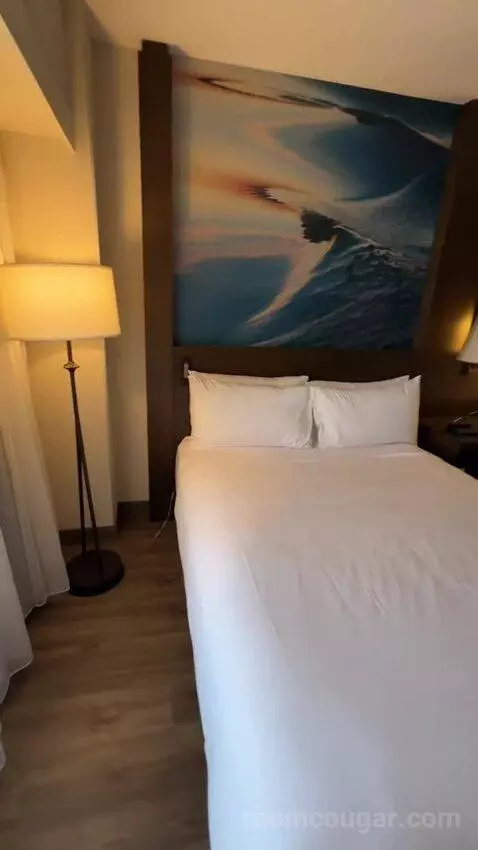 Deluxe Queen Room with Two Queen Beds (#223) view picture #5