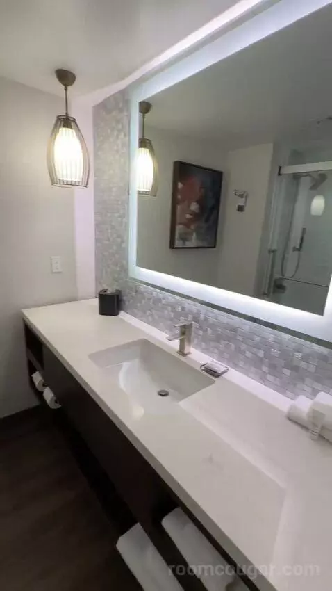 Deluxe Queen Room with Two Queen Beds (#223) bathroom picture #7